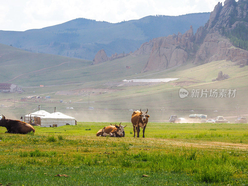 高尔基- terelj国家公园，蒙古
